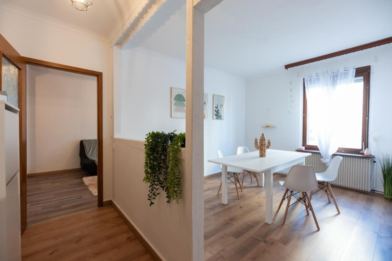 Appartement Cosy De 80 M2 ミュルーズ エクステリア 写真